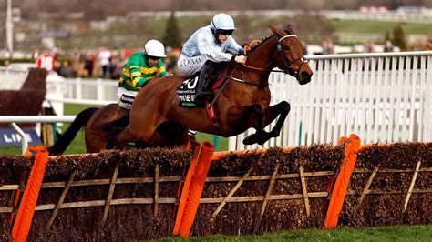 cheltenham festival champion hurdle|Champion Hurdle .